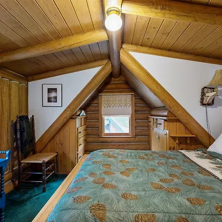 Authentic Maine Log Cabin